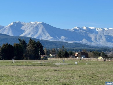 Prime 1 acre building lot with Olympic Mountain View and paved - photo 16