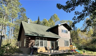 Lake Home For Sale in Nevis, Minnesota