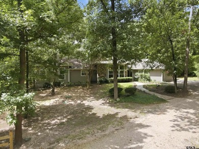 Welcome to 565 W. Eldorado Dr. in beautiful Scroggins, Texas! - photo 42