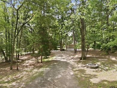 Welcome to 565 W. Eldorado Dr. in beautiful Scroggins, Texas! - photo 43