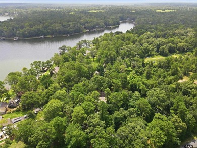 Welcome to 565 W. Eldorado Dr. in beautiful Scroggins, Texas! - photo 45