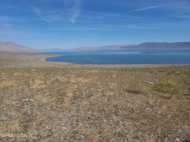 Lake Lot For Sale in Walker Lake, Nevada
