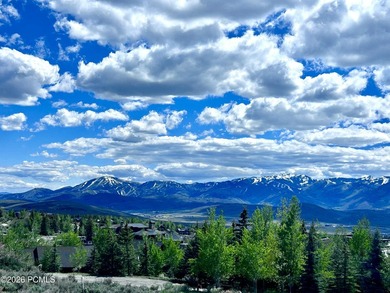 Set within the coveted Deer Crossing neighborhood of Promontory - photo 2