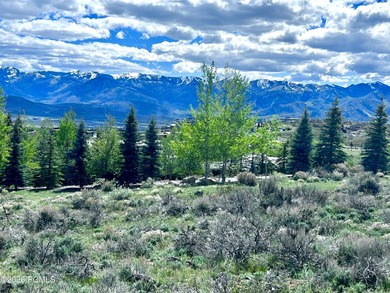 Set within the coveted Deer Crossing neighborhood of Promontory - photo 3
