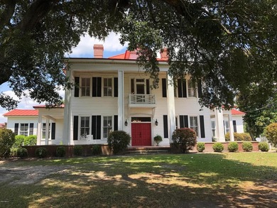 (private lake, pond, coastal) Home For Sale in Orangeburg South Carolina