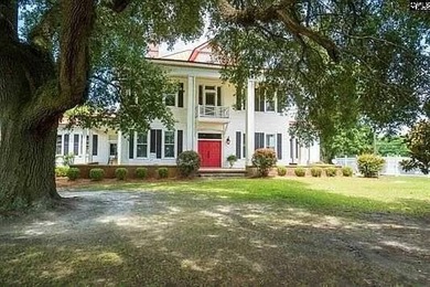 Extraordinary Country Estate featuring a magnificent 1920s - photo 4