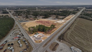 Lake Marion Acreage For Sale in Santee South Carolina