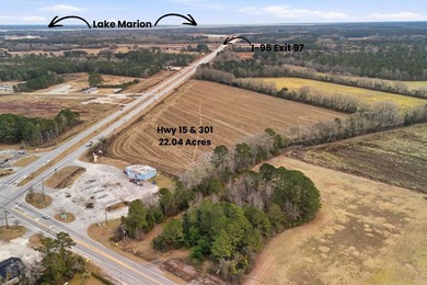 Lake Marion Acreage For Sale in Santee South Carolina