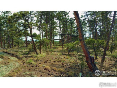 Red Feather Lake Lot For Sale in Red Feather Lakes Colorado
