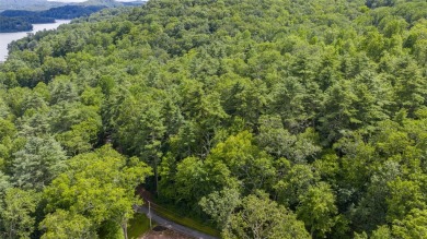 Lake Lot For Sale in Cullowhee, North Carolina