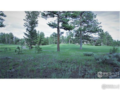 Red Feather Lake Lot For Sale in Red Feather Lakes Colorado