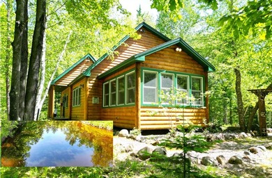 Northwoods Haven on close to 300 feet of Thornapple River - photo 1