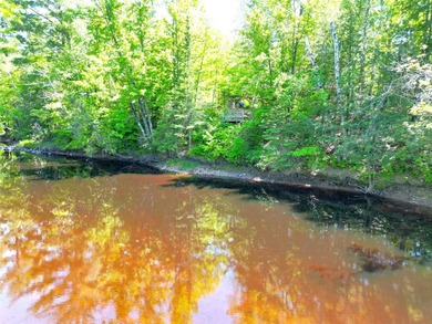 Northwoods Haven on close to 300 feet of Thornapple River - photo 2