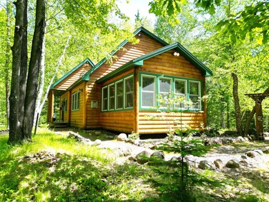Northwoods Haven on close to 300 feet of Thornapple River - photo 3