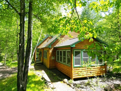 Northwoods Haven on close to 300 feet of Thornapple River - photo 4