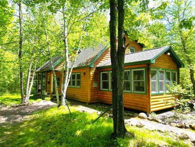 Northwoods Haven on close to 300 feet of Thornapple River - photo 5