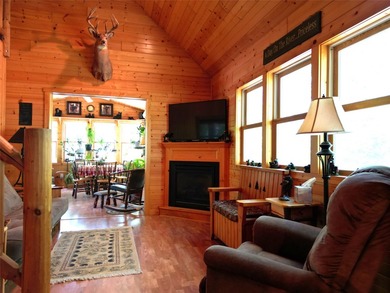 Northwoods Haven on close to 300 feet of Thornapple River - photo 9