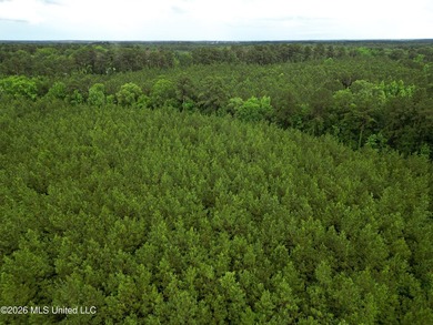 Lot for sale in Brookhaven, MSe check out this +/- 15-acre - photo 11