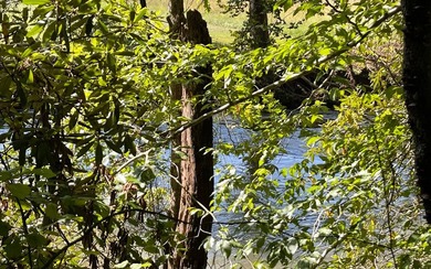 37+ ACRES WITH RIVER FRONTAGE CLOSE TO DOWNTOWN HAYESVILLE - photo 11