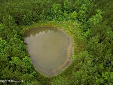 Lot for sale in Brookhaven, MSe check out this +/- 15-acre - photo 12