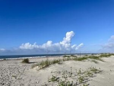 Coastal Living Meets Opportunity in Wild Dunes! Discover this