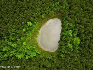 Lot for sale in Brookhaven, MSe check out this +/- 15-acre - photo 13
