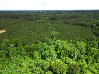 Lot for sale in Brookhaven, MSe check out this +/- 15-acre - photo 16