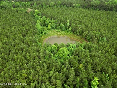 Lot for sale in Brookhaven, MSe check out this +/- 15-acre - photo 17
