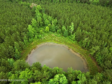 Lot for sale in Brookhaven, MSe check out this +/- 15-acre - photo 18