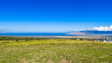 Discover one of Upcountry Maui's most exceptional opportunities - photo 20