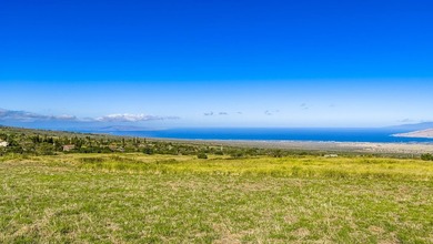 Discover one of Upcountry Maui's most exceptional opportunities - photo 21