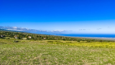 Discover one of Upcountry Maui's most exceptional opportunities - photo 23