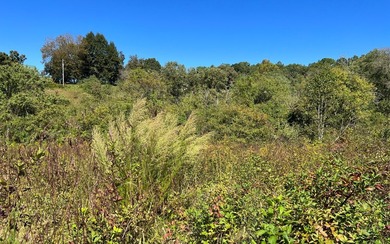 37+ ACRES WITH RIVER FRONTAGE CLOSE TO DOWNTOWN HAYESVILLE - photo 24