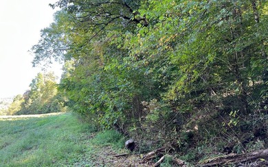 37+ ACRES WITH RIVER FRONTAGE CLOSE TO DOWNTOWN HAYESVILLE - photo 33