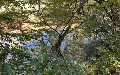 37+ ACRES WITH RIVER FRONTAGE CLOSE TO DOWNTOWN HAYESVILLE - photo 35