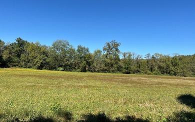 37+ ACRES WITH RIVER FRONTAGE CLOSE TO DOWNTOWN HAYESVILLE - photo 42