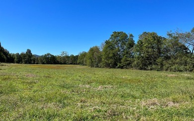 37+ ACRES WITH RIVER FRONTAGE CLOSE TO DOWNTOWN HAYESVILLE - photo 44