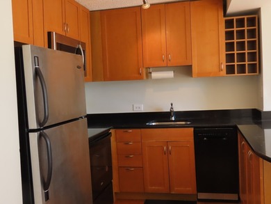 Sun- Filled, South Facing 2 Bedroom with views of the City and - photo 6