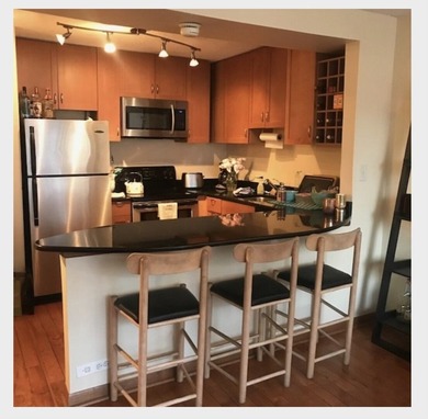 Sun- Filled, South Facing 2 Bedroom with views of the City and - photo 8