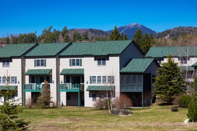 Lake Townhome/Townhouse Sale Pending in Lake Placid, New York