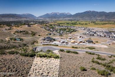 Perched above the community on one of the most coveted homesites - photo 2