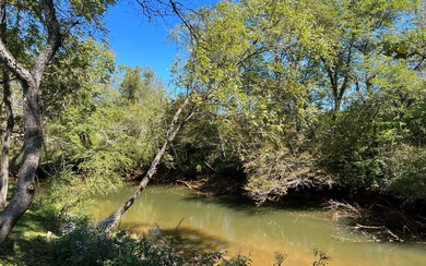 37+ ACRES WITH RIVER FRONTAGE CLOSE TO DOWNTOWN HAYESVILLE - photo 53