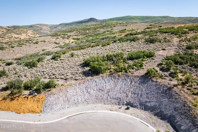 Perched above the community on one of the most coveted homesites - photo 3