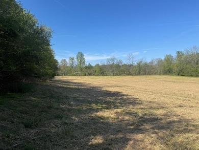 37+ ACRES WITH RIVER FRONTAGE CLOSE TO DOWNTOWN HAYESVILLE - photo 56