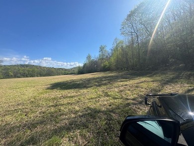 37+ ACRES WITH RIVER FRONTAGE CLOSE TO DOWNTOWN HAYESVILLE - photo 57