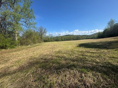 37+ ACRES WITH RIVER FRONTAGE CLOSE TO DOWNTOWN HAYESVILLE - photo 58