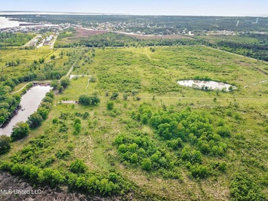 Opportunity is endless! 183 acres in Bay St. Louis! Over 1/2 - photo 13