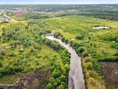 Opportunity is endless! 183 acres in Bay St. Louis! Over 1/2 - photo 15