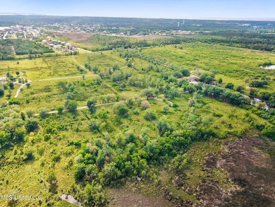 Opportunity is endless! 183 acres in Bay St. Louis! Over 1/2 - photo 16