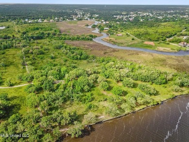 Opportunity is endless! 183 acres in Bay St. Louis! Over 1/2 - photo 17